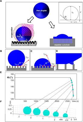 Wall-free droplet microfluidics for probing biological processes by high-brilliance X-ray scattering techniques